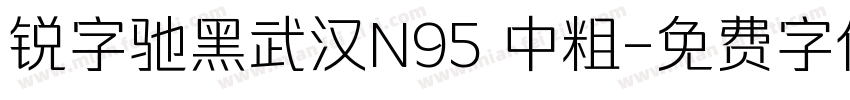 锐字驰黑武汉N95 中粗字体转换